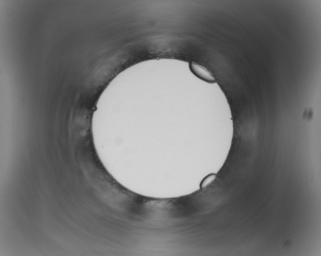 X0000113990133200911131126