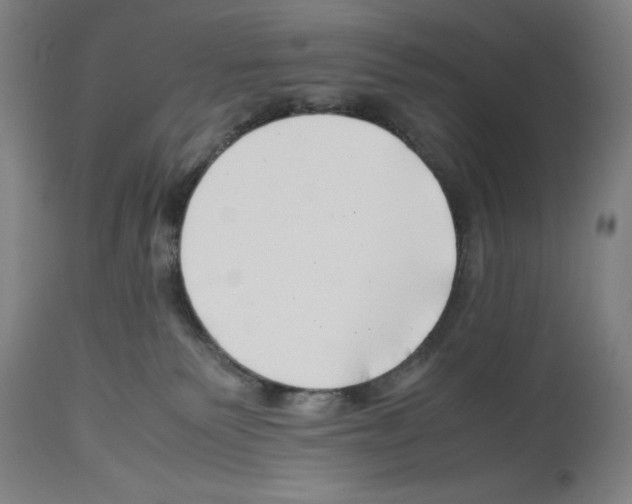 X0000113990135200911131126