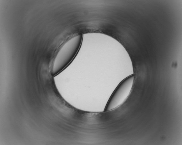 X0000113990136200911131126