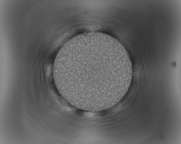 X0000113990139200911131126