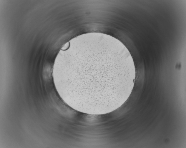 X0000113990142200911131126