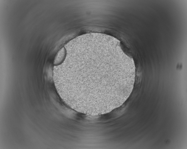 X0000113990143200911131126