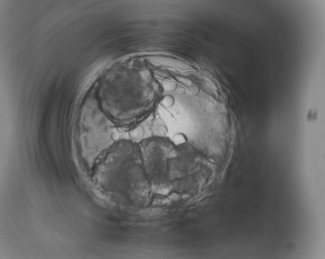 X0000113990145200911131125