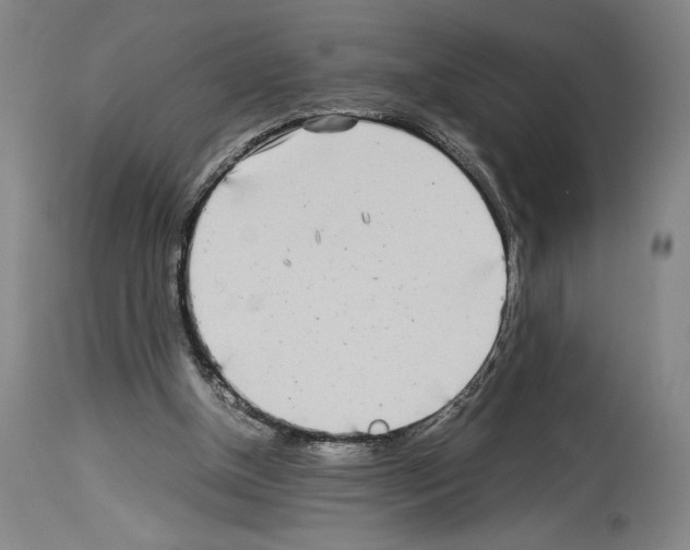 X0000113990154200911131126