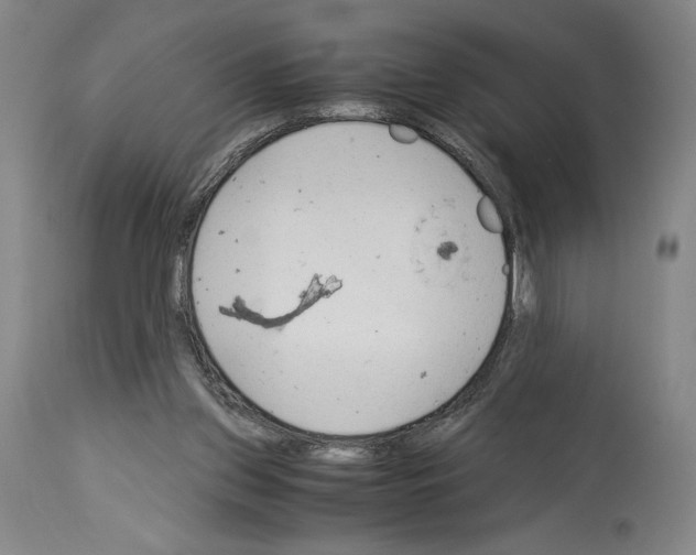 X0000113990157200911131126