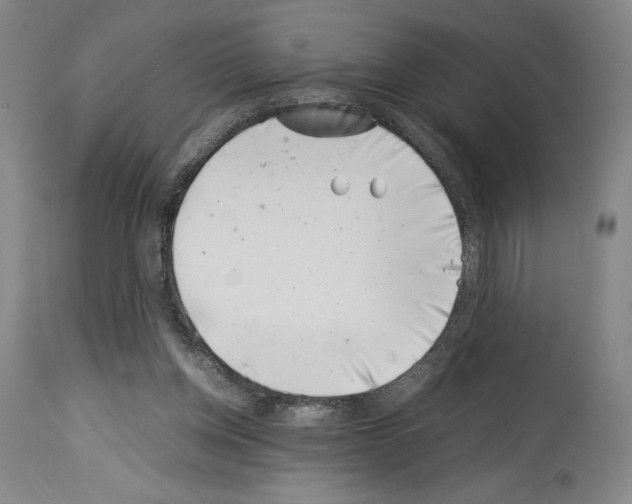 X0000113990158200911131126