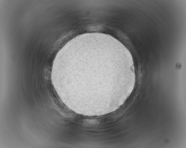 X0000113990161200911131126