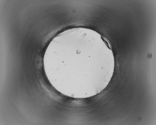 X0000113990164200911131126