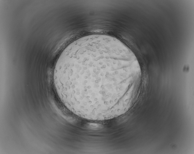 X0000113990167200911131126