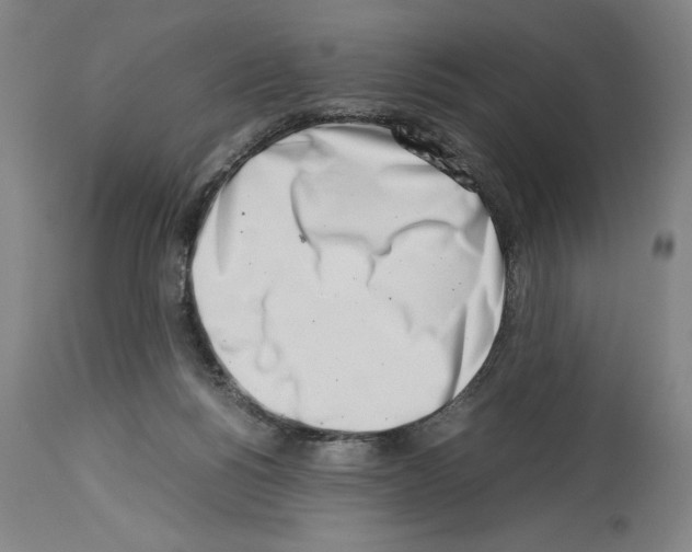 X0000113990168200911131126