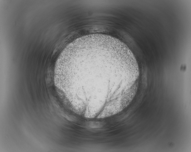 X0000113990169200911131126