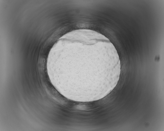 X0000113990171200911131126