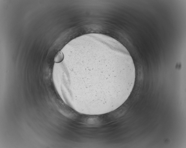 X0000113990173200911131126