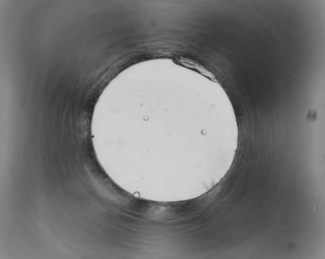 X0000113990174200911131126