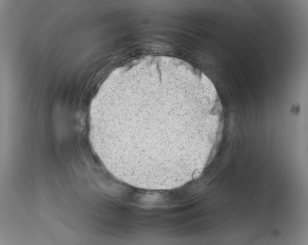 X0000113990177200911131126