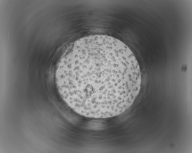 X0000113990179200911131126