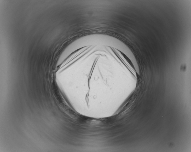 X0000113990180200911131126