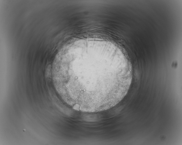 X0000113990181200911131126