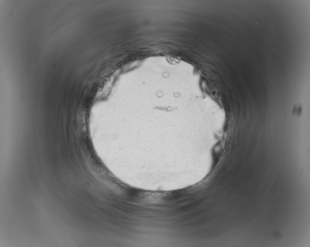 X0000113990182200911131126