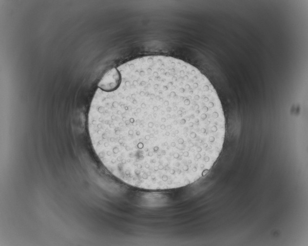 X0000113990183200911131126