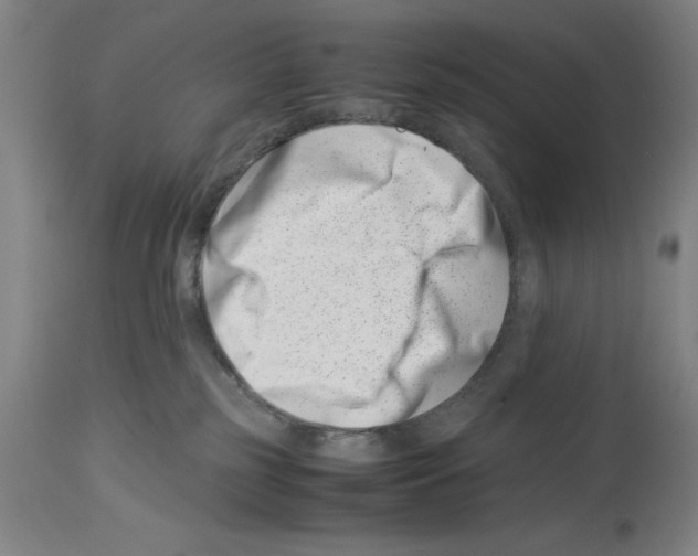 X0000113990185200911131126