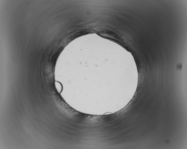 X0000113990186200911131126