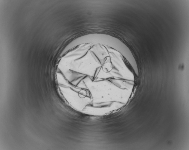 X0000113990188200911131126