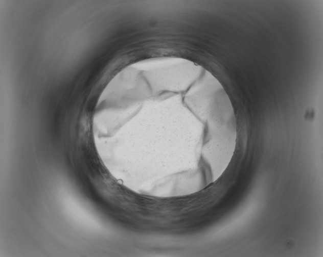 X0000113990191200911131126