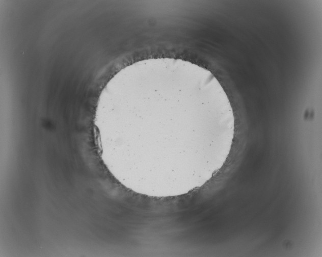 X0000113990192200911131126