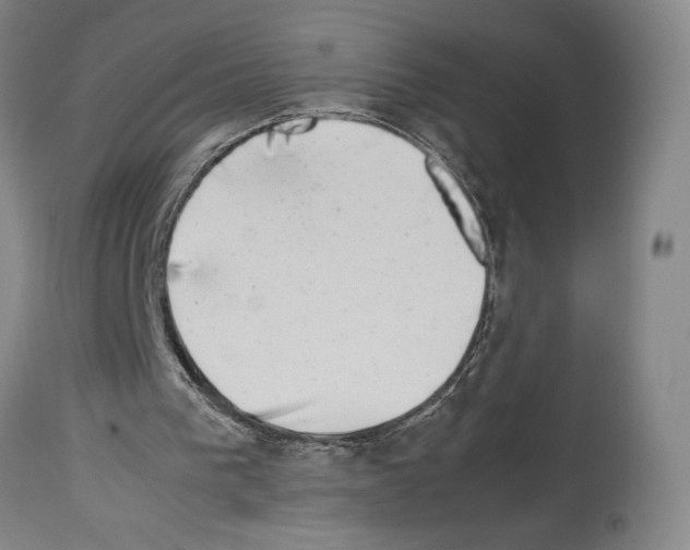 X0000113990193200911131125