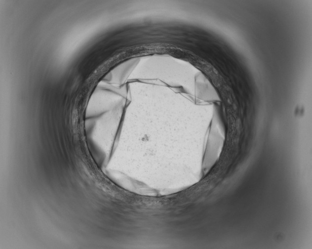 X0000113990194200911131125