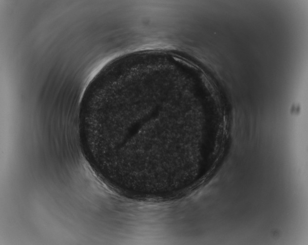 X0000113990196200911131125