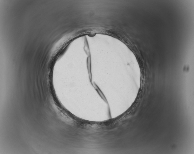 X0000113990197200911131125