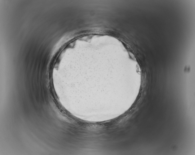 X0000113990198200911131125