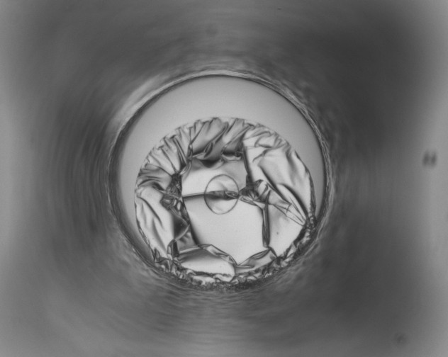 X0000113990199200911131125