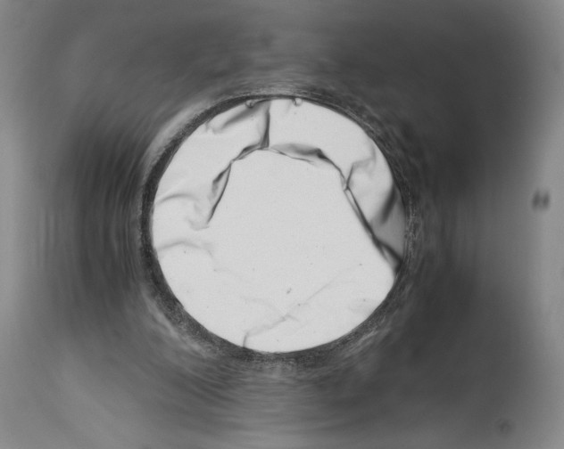 X0000113990200200911131125