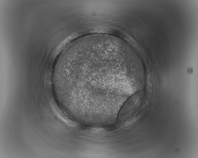 X0000113990203200911131125