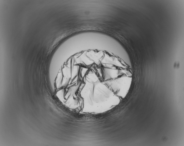 X0000113990207200911131125