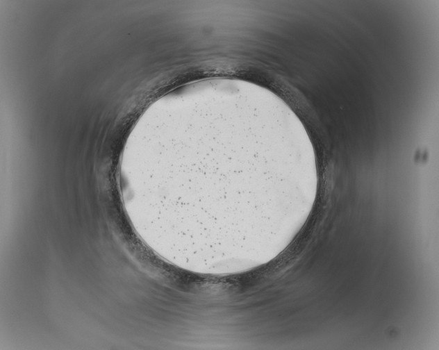 X0000113990209200911131125