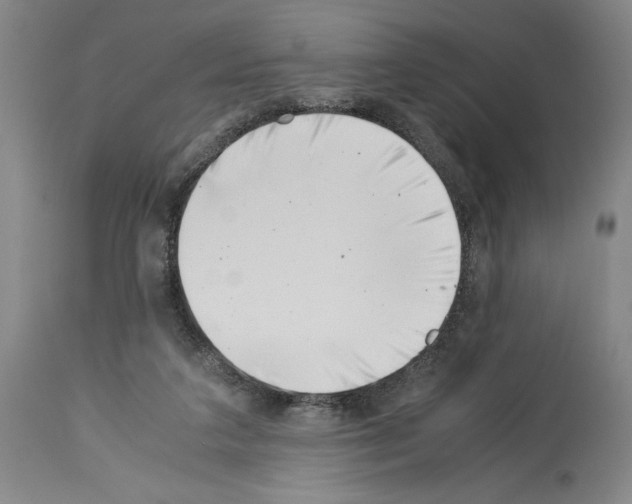 X0000113990211200911131125