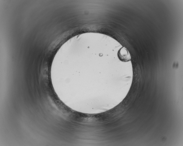 X0000113990212200911131125