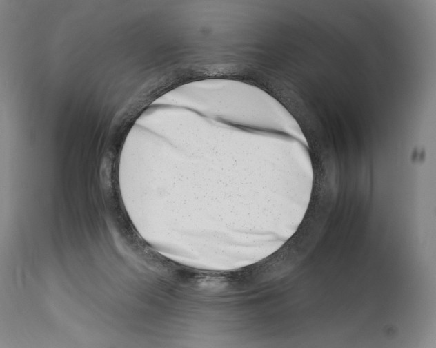 X0000113990214200911131125