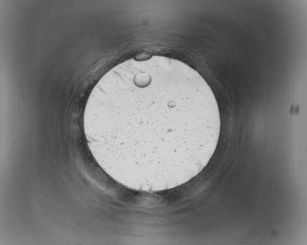 X0000113990215200911131125