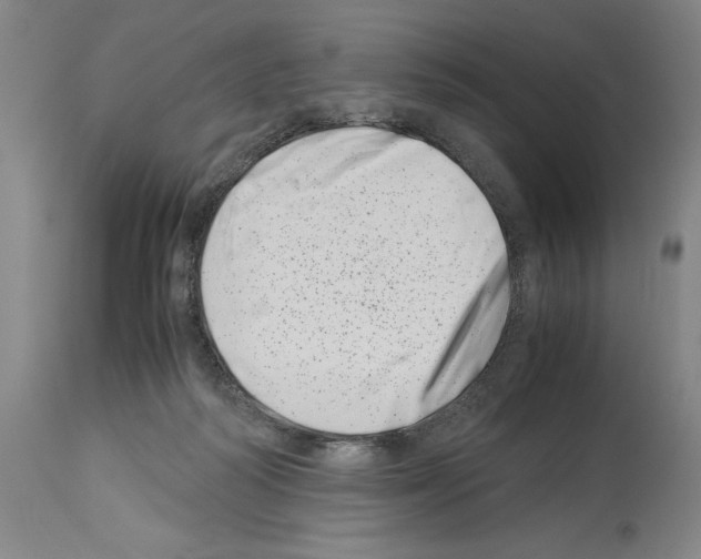 X0000113990218200911131125