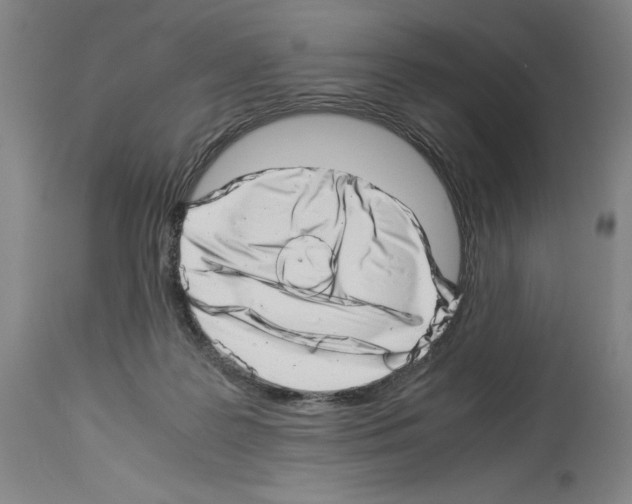 X0000113990219200911131125