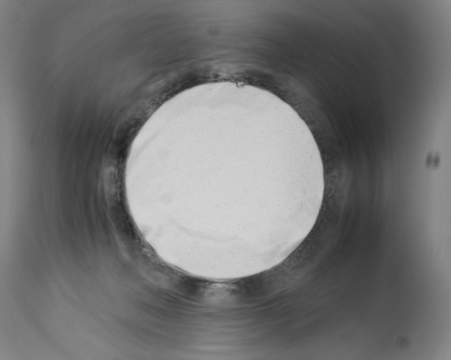 X0000113990222200911131125