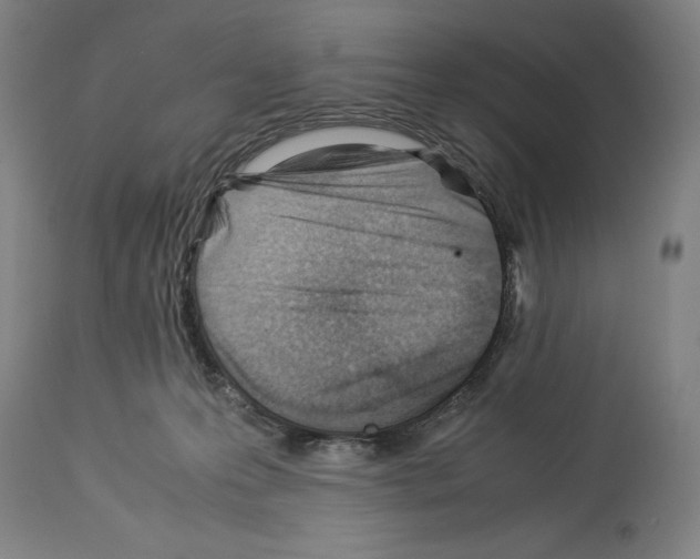 X0000113990223200911131125