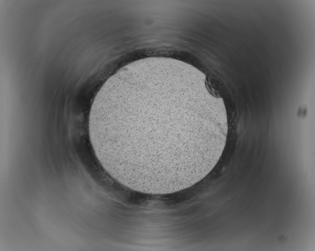 X0000113990224200911131125