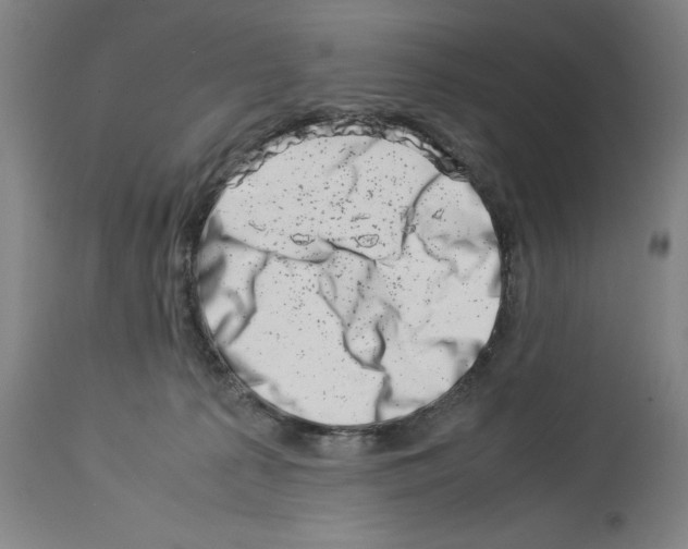 X0000113990225200911131125