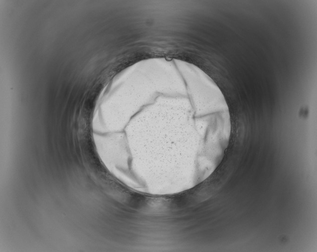 X0000113990226200911131125